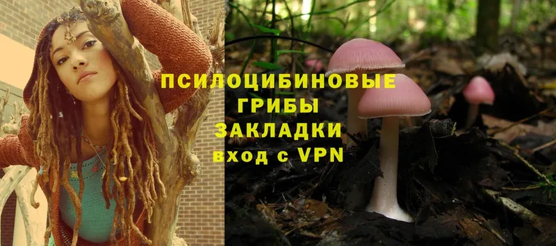 даркнет сайт  Туапсе  Псилоцибиновые грибы MAGIC MUSHROOMS 